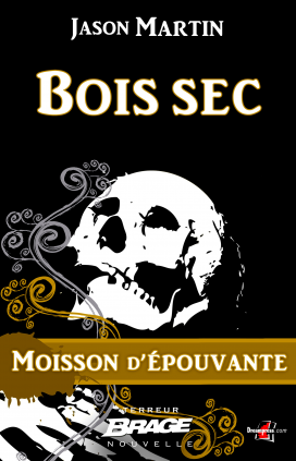 Bois sec