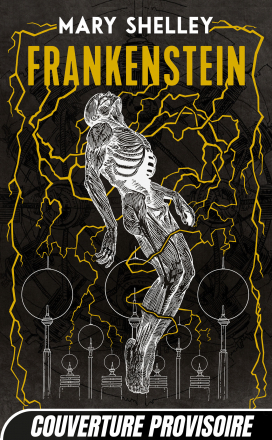 Frankenstein ou le Prométhée moderne