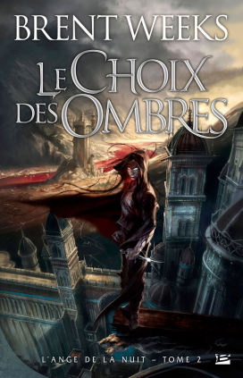 Le Choix des ombres